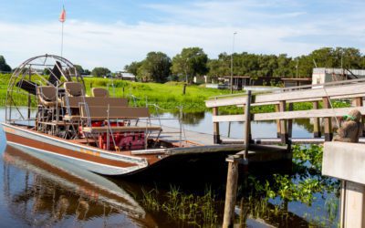Embark on a Thrilling Airboat Adventure: Exotic Wildlife on a Grape Hammock Tour in Florida