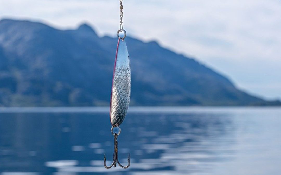 Fishing Adventures in Lake Kissimmee: A Guide to Successful Angling
