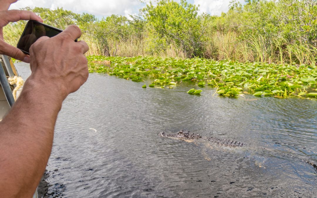 Zoom Through Florida’s Wetlands: Pack Smart for Your Airboat Tour