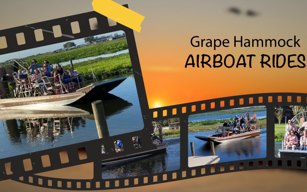 Why January Is the Best Time for Airboat Tours in Florida