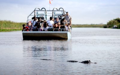 The Thrill of Airboat Riding: What Makes It So Exciting